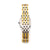 Cartier Panthere Two Tone 3 Gold Row W25029B8