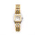 Cartier Panthere Two Tone 3 Gold Row W25029B8