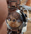 Patek Philippe Anual Calendar 5905/1A-001