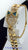 DeLaneau Les Delicates 18k Watch