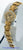 DeLaneau Les Delicates 18k Watch
