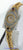 DeLaneau Les Delicates 18k Watch