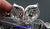 Ladies Broche 18k White Gold Pave Diamonds