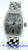 Franck Muller Conquistador 8005/SC/D/1R